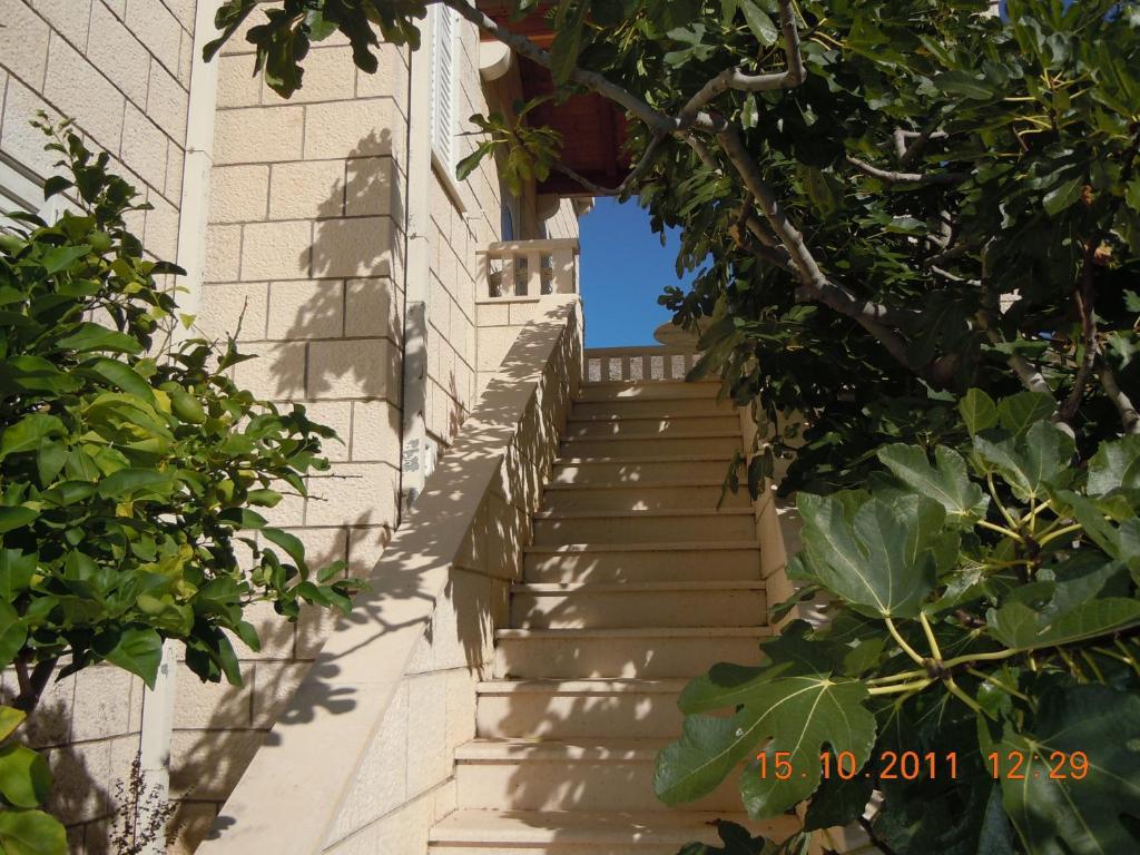 Central Apartment Dubrovnik Zimmer foto