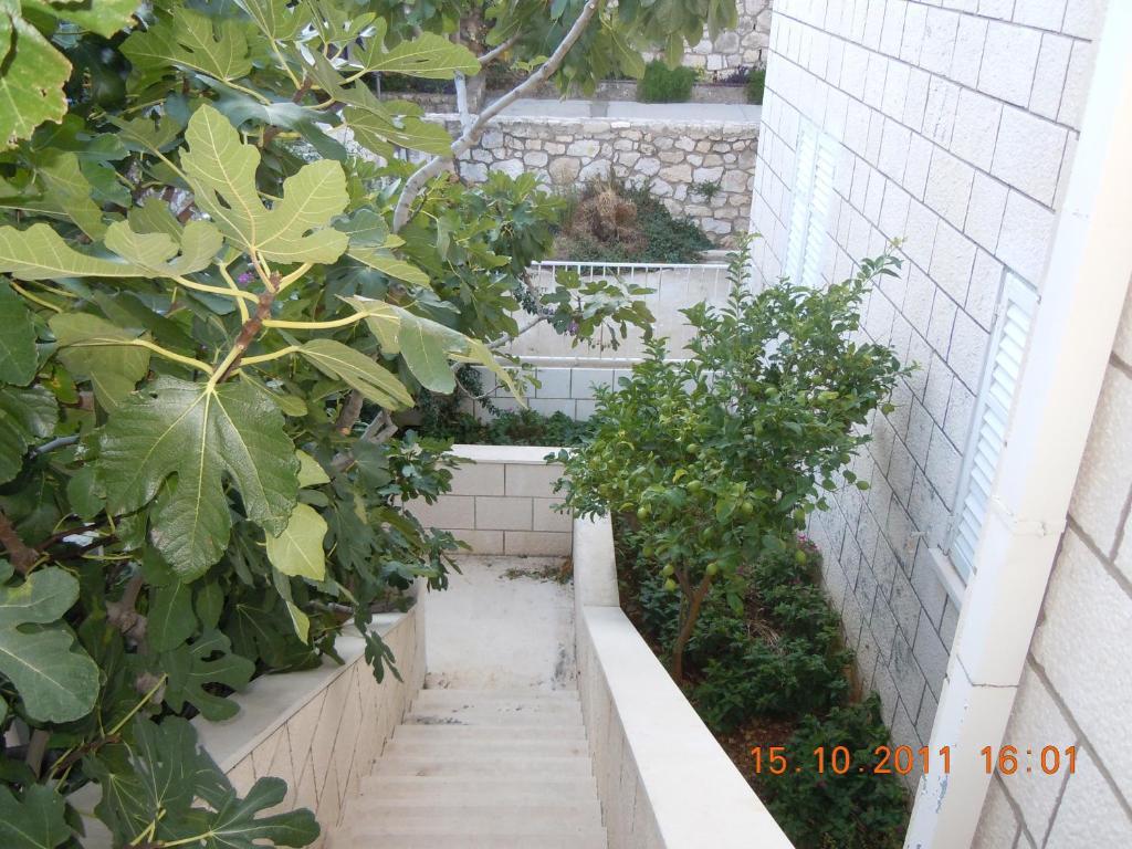 Central Apartment Dubrovnik Zimmer foto